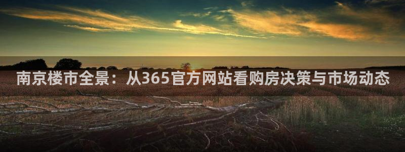 新宝5安卓版：南京楼市全景：从365官方网站看购房决策与市场