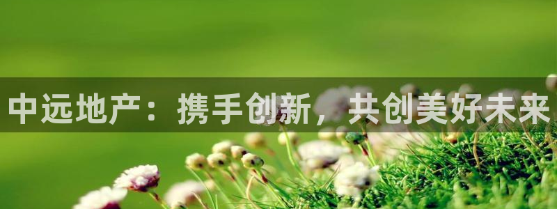 新宝5平台登录下载软件：中远地产：携手创新，共创美好未来