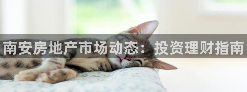 新宝5主管：南安房地产市场动态：投资理财指南