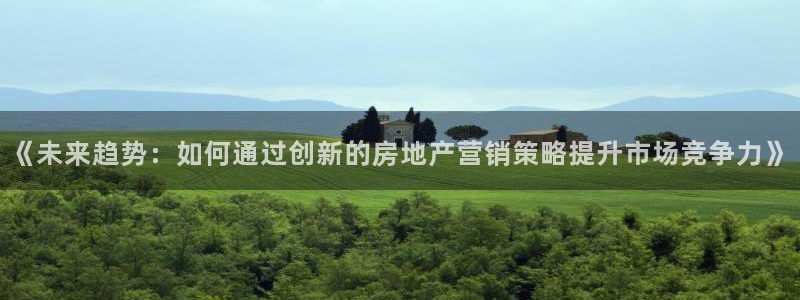 新宝5湫333 00：《未来趋势：如何通过创新的房地产营销策