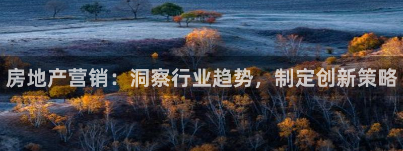 新宝5手机版：房地产营销：洞察行业趋势，制定创新策略