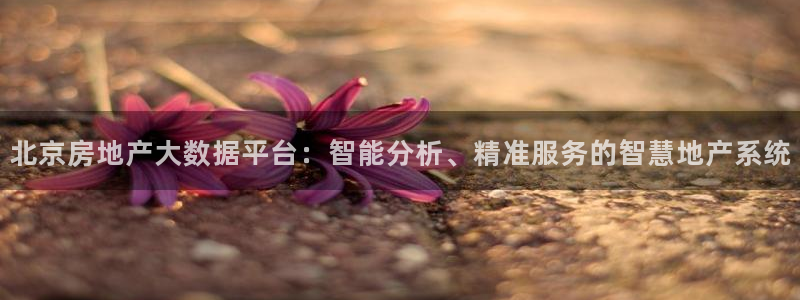 新宝5测速平台登录：北京房地产大数据平台：智能分析、精准服务