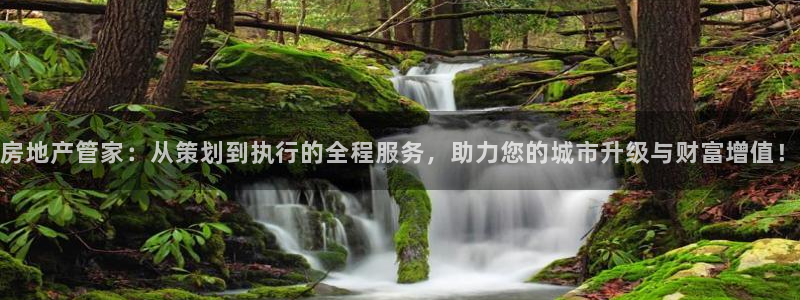 新宝5平台注册资金：房地产管家：从策划到执行的全程服务，助力