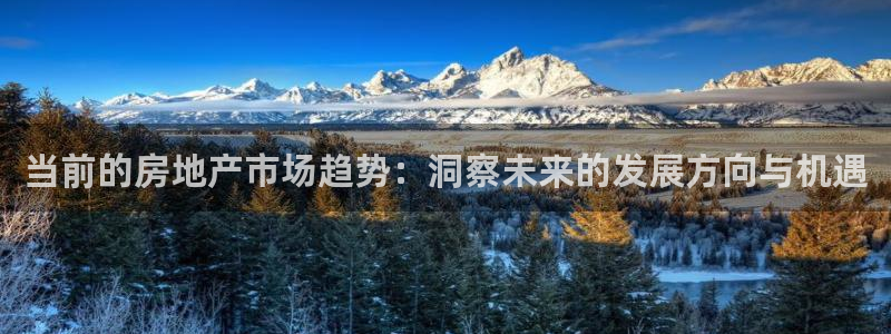 新宝5下载 迅雷下载：当前的房地产市场趋势：洞察未来的发展方