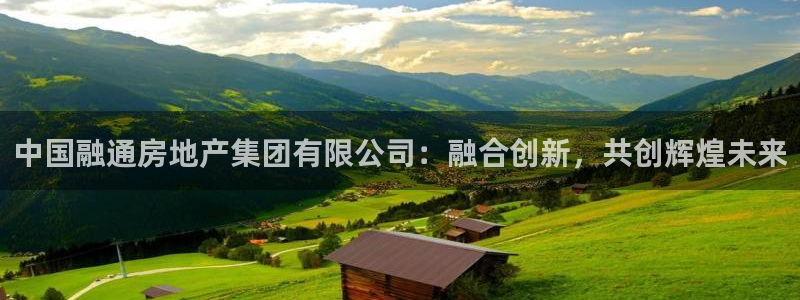 新宝m2O5O5O：中国融通房地产集团有限公司：融合创新，共