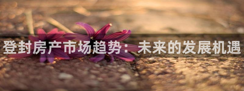 新宝5平台：登封房产市场趋势：未来的发展机遇