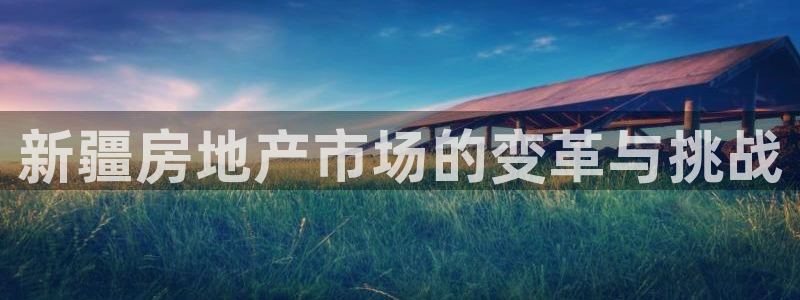 新宝G5：新疆房地产市场的变革与挑战