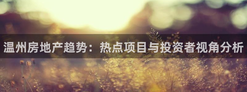 新宝_5：温州房地产趋势：热点项目与投资者视角分析