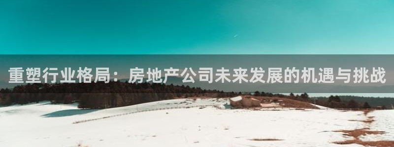 新宝5现在还能玩吗：重塑行业格局：房地产公司未来发展的机遇与