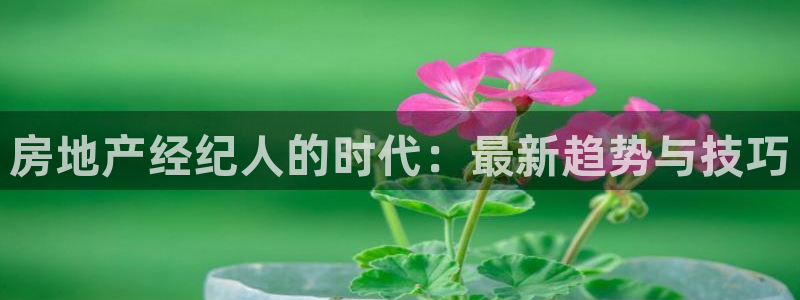 新宝注5册：房地产经纪人的时代：最新趋势与技巧