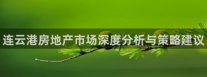 新宝5彩票平台登陆：连云港房地产市场深度分析与策略建议