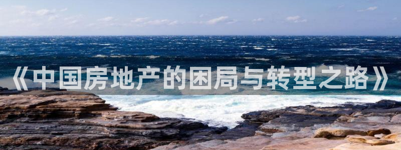 新宝5 代理