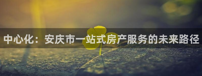 菲律宾新宝5老板