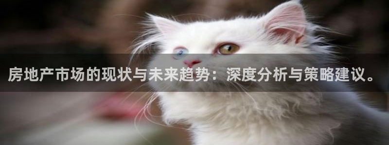 新宝5测速登录：房地产市场的现状与未来趋势：深度分析与策略建