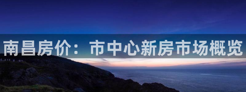 新宝5登录测速中心：南昌房价：市中心新房市场概览
