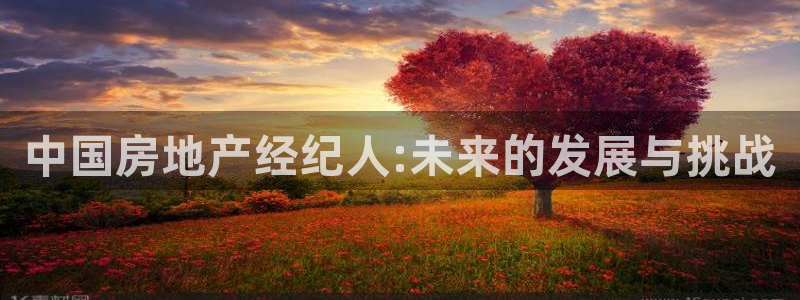 新宝5注册登录：中国房地产经纪人:未来的发展与挑战