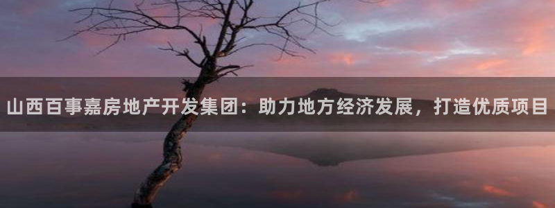 新宝5蒋7O667：山西百事嘉房地产开发集团：助力地方经济发