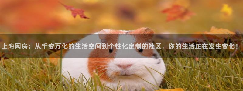 新宝5郑74OOO5：上海网房：从千变万化的生活空间到个性化