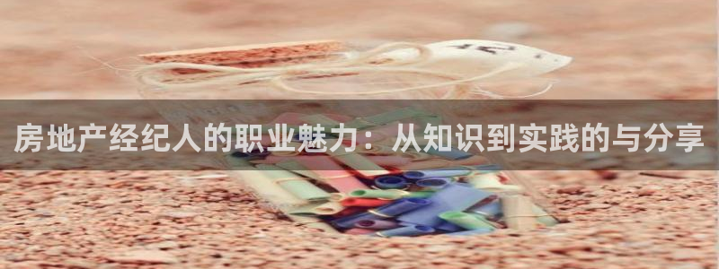 新宝5秒开：房地产经纪人的职业魅力：从知识到实践的与分享