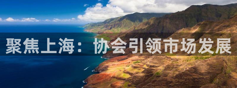 新宝5娱乐招商：聚焦上海：协会引领市场发展