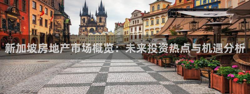 新宝5系列：新加坡房地产市场概览：未来投资热点与机遇分析