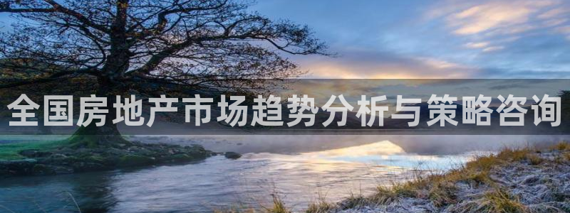 新宝5网：全国房地产市场趋势分析与策略咨询