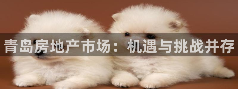 新宝5注册链接：青岛房地产市场：机遇与挑战并存