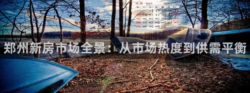 新宝5登录霸：郑州新房市场全景：从市场热度到供需平衡