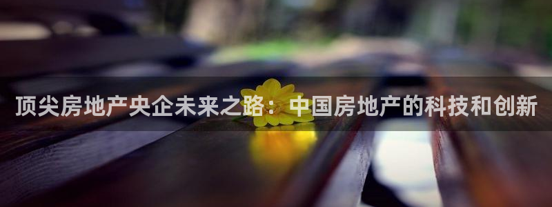 新宝3得74OO5：顶尖房地产央企未来之路：中国房地产的科技