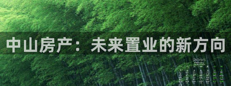 新宝股东张听2 5 5：中山房产：未来置业的新方向