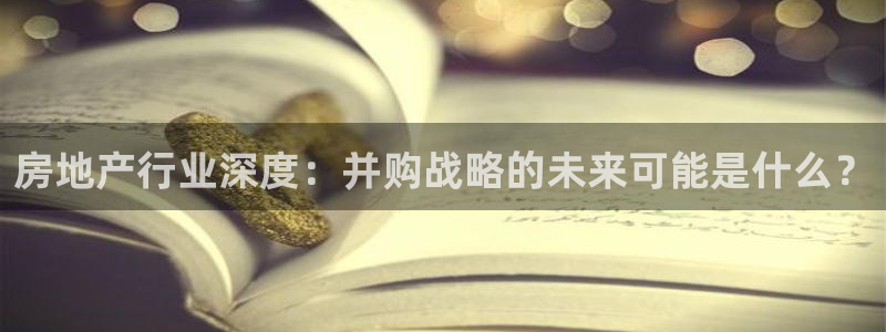 新宝5玩法：房地产行业深度：并购战略的未来可能是什么？