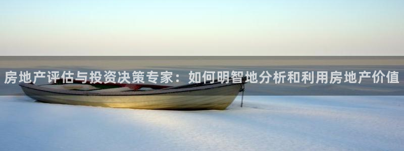 新宝那2O5O5O：房地产评估与投资决策专家：如何明智地分析