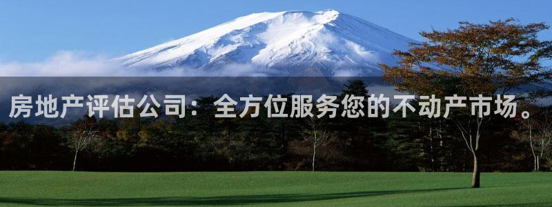新宝5代理：房地产评估公司：全方位服务您的不动产市场。