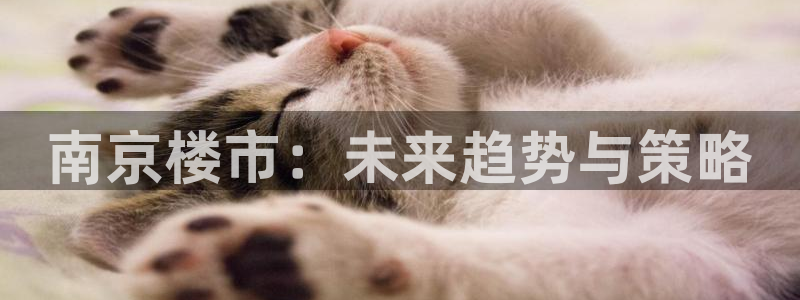 新宝b2O5O5O：南京楼市：未来趋势与策略