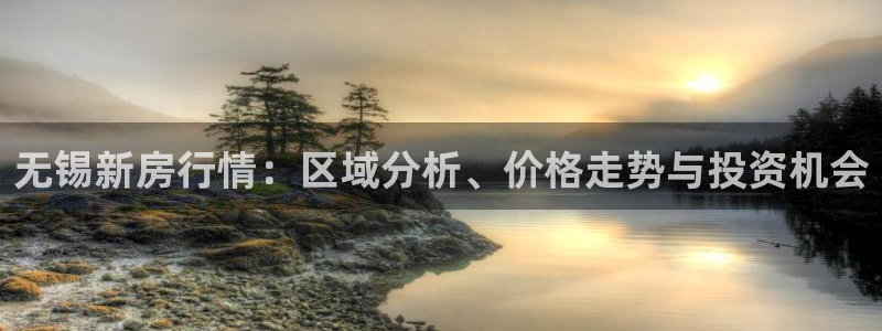 菲律宾新宝5老板：无锡新房行情：区域分析、价格走势与投资机会