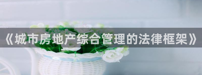 新宝5上来77542：《城市房地产综合管理的法律框架》