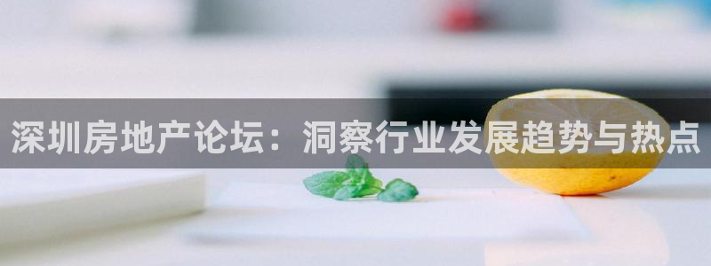 新宝5平台霸：深圳房地产论坛：洞察行业发展趋势与热点