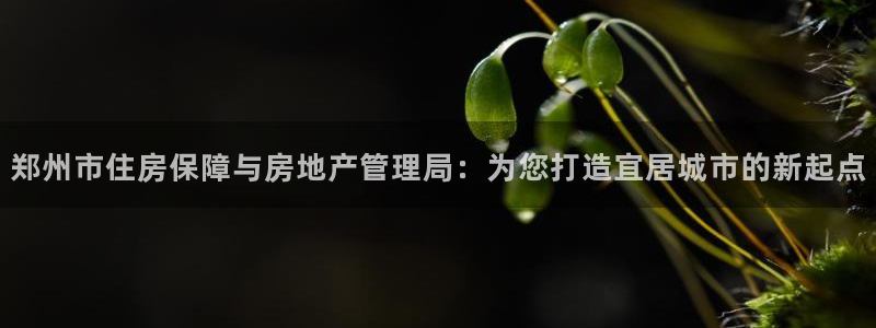 新宝5娱乐家：郑州市住房保障与房地产管理局：为您打造宜居城市