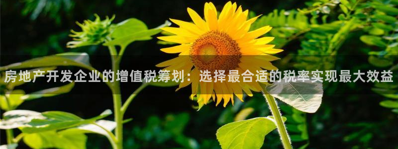 新宝5登录地址：房地产开发企业的增值税筹划：选择最合适的税率