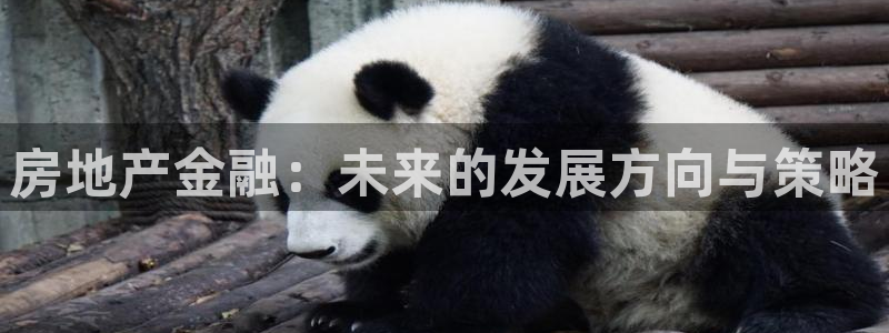 新宝5手机版：房地产金融：未来的发展方向与策略