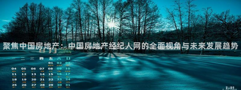 新宝5挂机软件：聚焦中国房地产：中国房地产经纪人网的全面视角