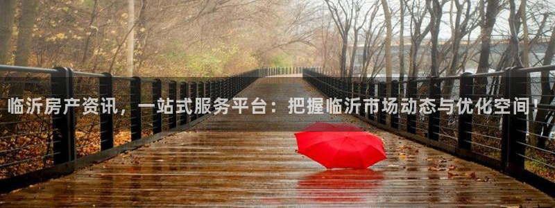 新宝股东张听2 5 5：临沂房产资讯，一站式服务平台：把握临